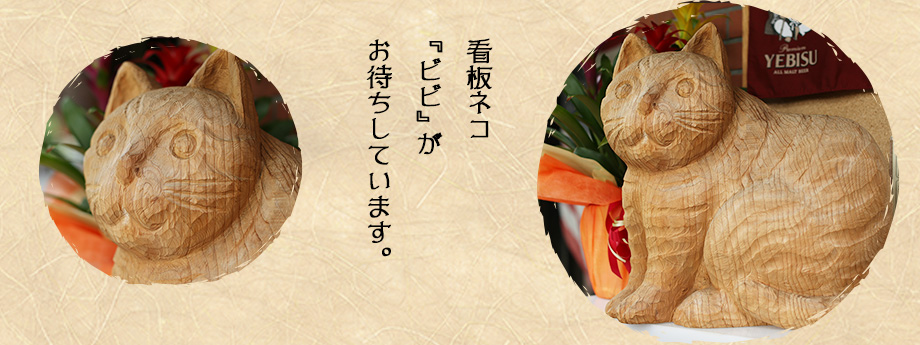 看板ネコ『ビビ』がお待ちしています。